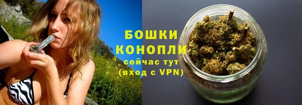 индика Касимов