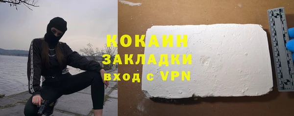 индика Касимов
