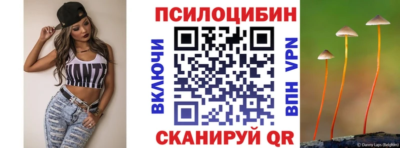 Галлюциногенные грибы GOLDEN TEACHER  Купить где  Мичуринск 