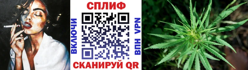 Купить закладки  Мичуринск  Конопля гибрид 